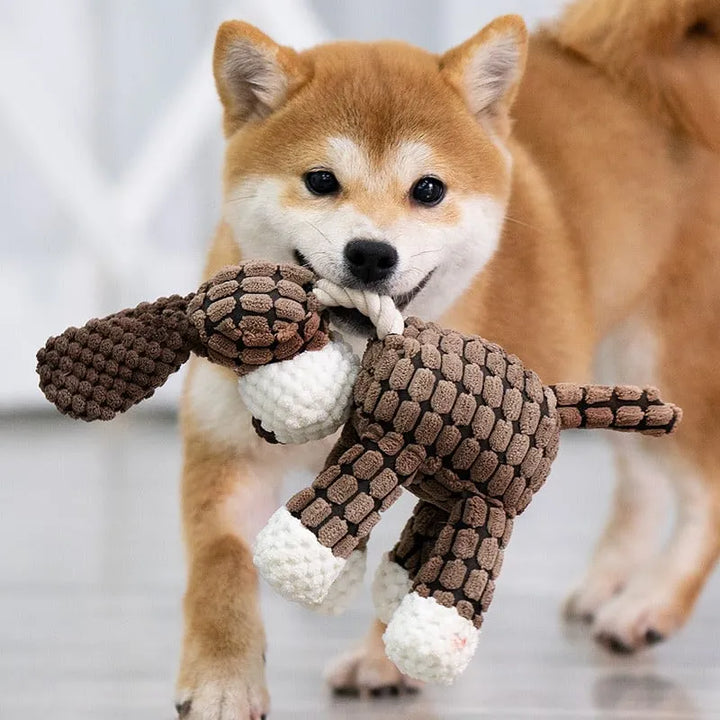 Aggressive dog chew toy, 'Immortal' plush with loud squeaker, pet enrichment