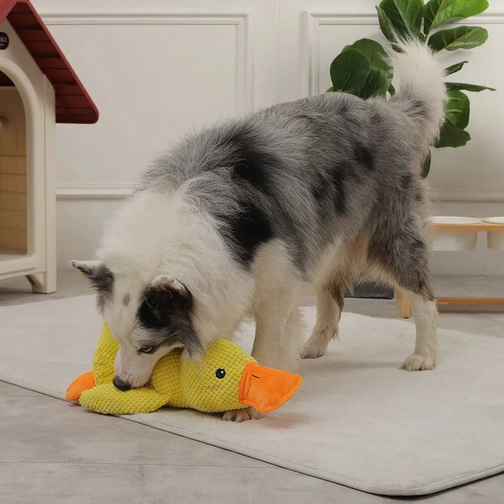 Anxiety-relief yellow duck toy for dogs, a resilient chew for active pets