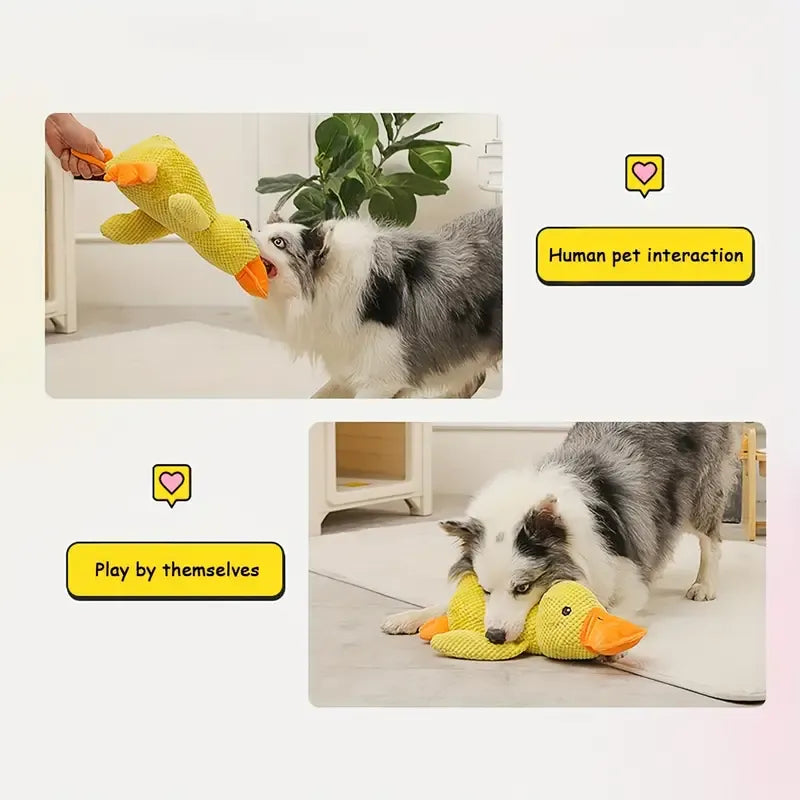 Interactive duck dog toy, a durable pet supply designed for consistent chewing