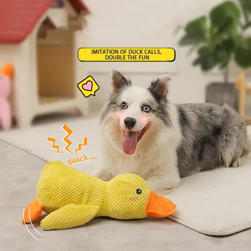 Large yellow duck dog toy, a tough pet supply for aggressive heavy chewers
