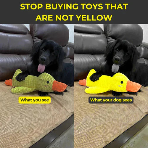 Yellow duck dog toy, a durable pet supply for active, high-energy pups