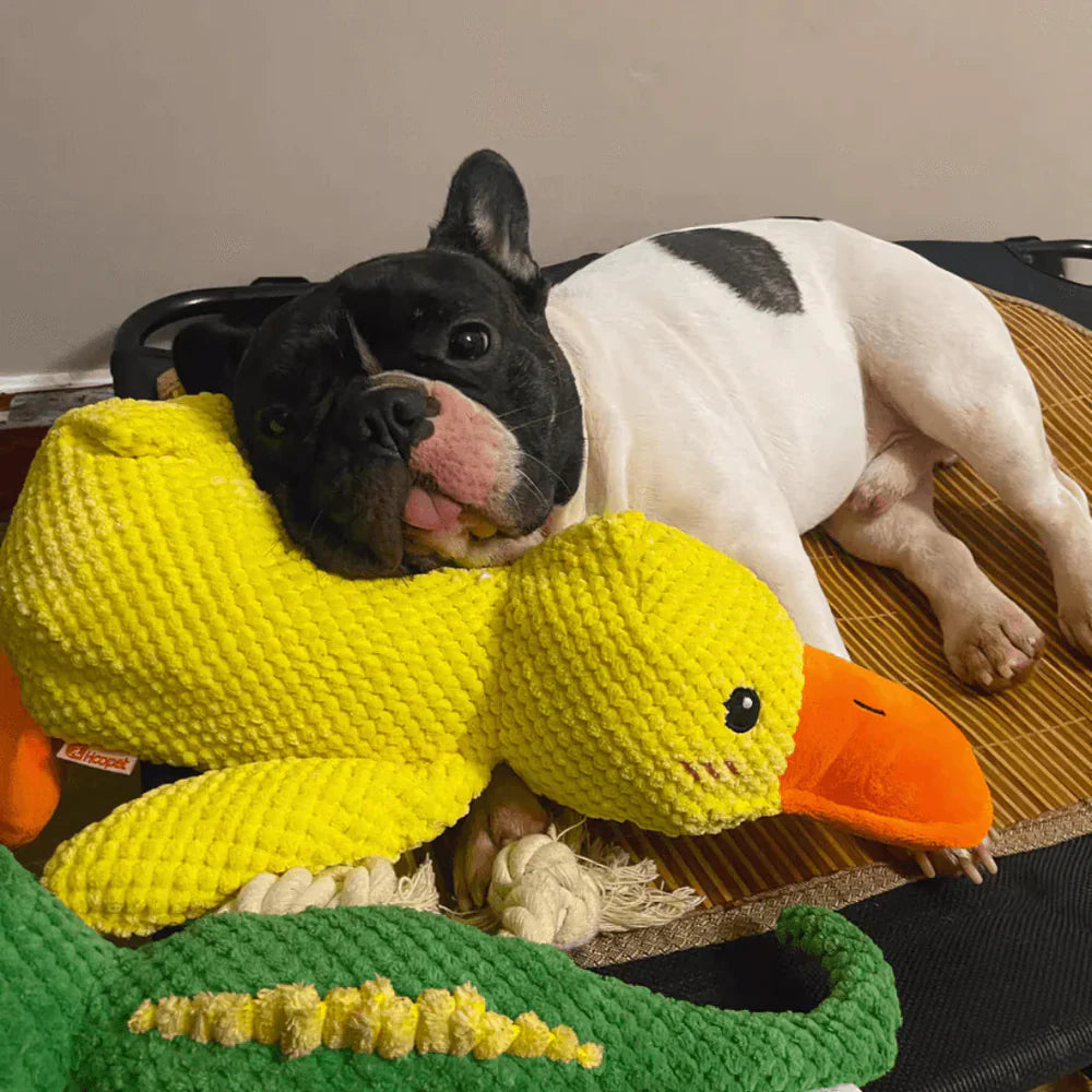 Heavy-duty duck dog toy, a durable chew toy for high-energy canine companions