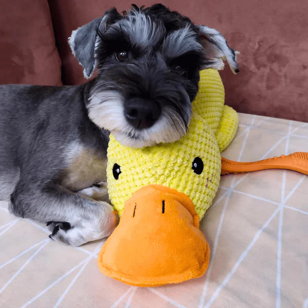 Calming yellow duck dog toy, providing anxiety relief for dogs that chew