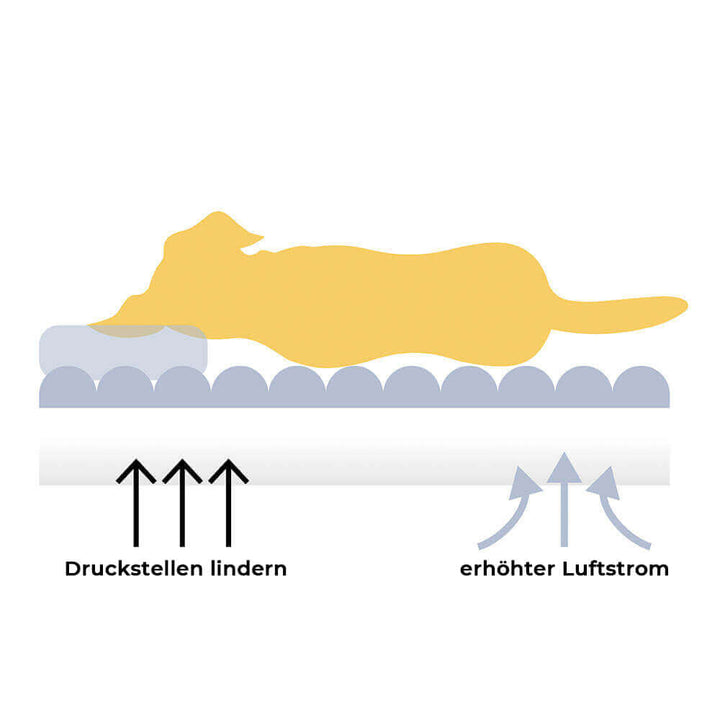 Orthopädisches Hundebett XXL mit hoher Rückenlehne