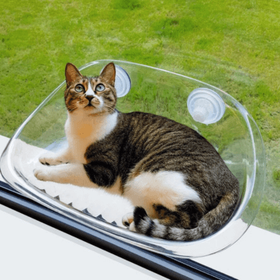 Katzenfensterplatz KittyView