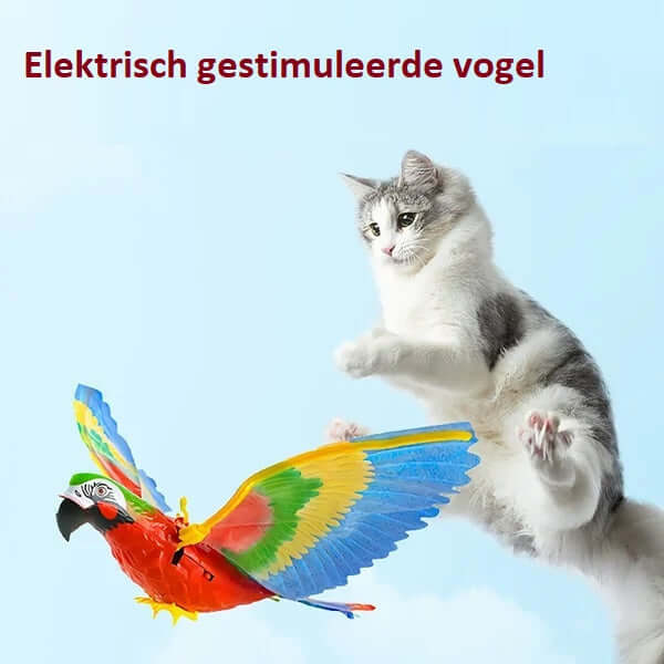 Katzenspielzeug fliegender Vogel - Automatisches Bewegungsspielzeug