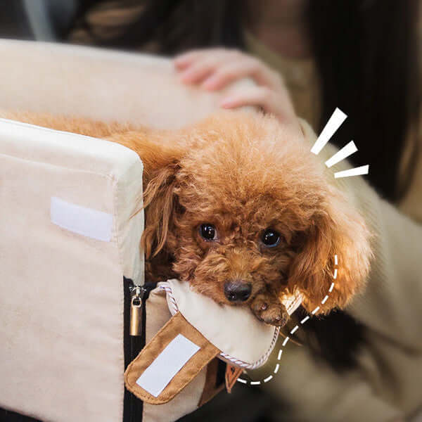 Reisebett Hund Autositz Komfortbox Klein Hunde