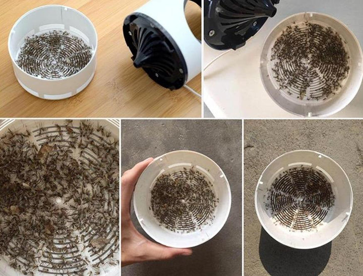 "Effektive Mückenschutz Lampe mit 365nm Licht, leiser Betrieb, stilvolles Design, zieht Mücken und Insekten im Freien an."