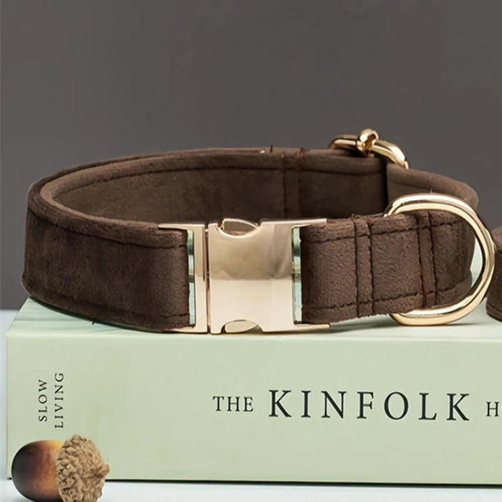 High-quality velvet pet collar with engraved ID tag and matching durable leash for safe pet outings.