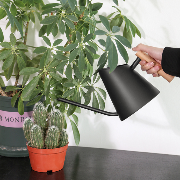 "Elegante Gießkanne mit ergonomischem Holzgriff, ideal für stilvolles Gießen im Garten. Mattes Weiß, langlebig, 900ML Kapazit