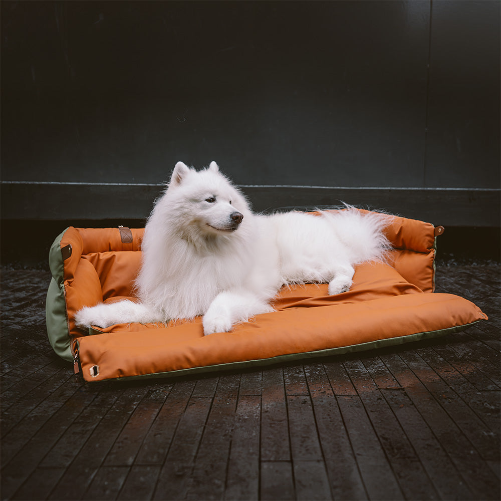 Eleganter Kunstleder-Hundeautositz in Schwarz, komfortabel mit Sicherheitsleinen und Polsterung, stilvoll für Reisen.