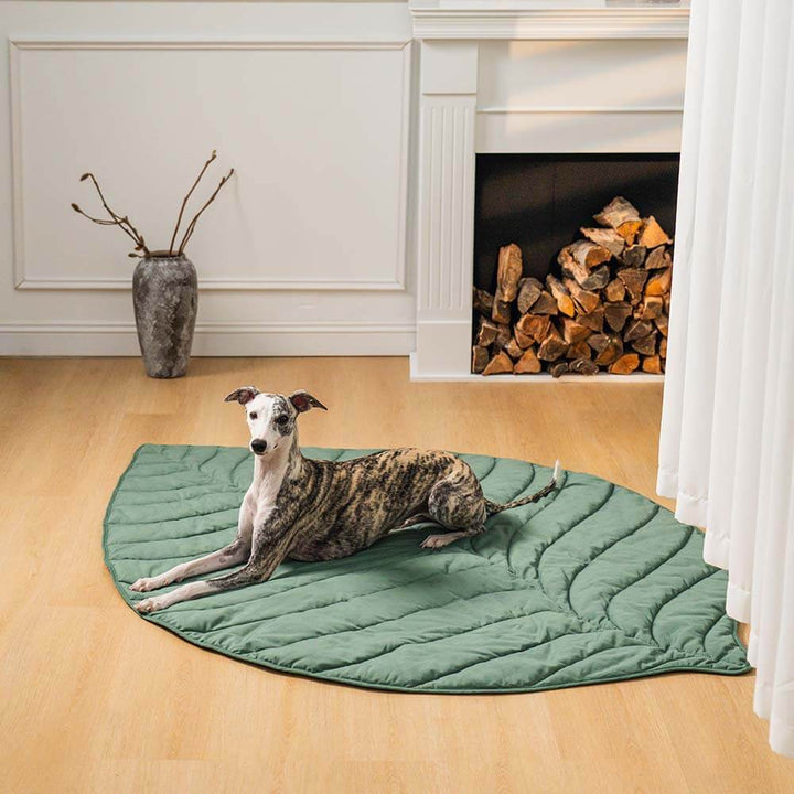 Extra large leaf shape pet and human mat, comfortable dog blanket in green, unisex pet bed for home decor.