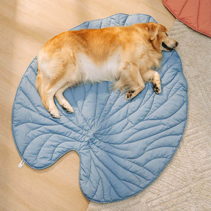 Modern leaf shape pet bed, extra large dog blanket, comfortable mat for pets and humans, unisex home decor.