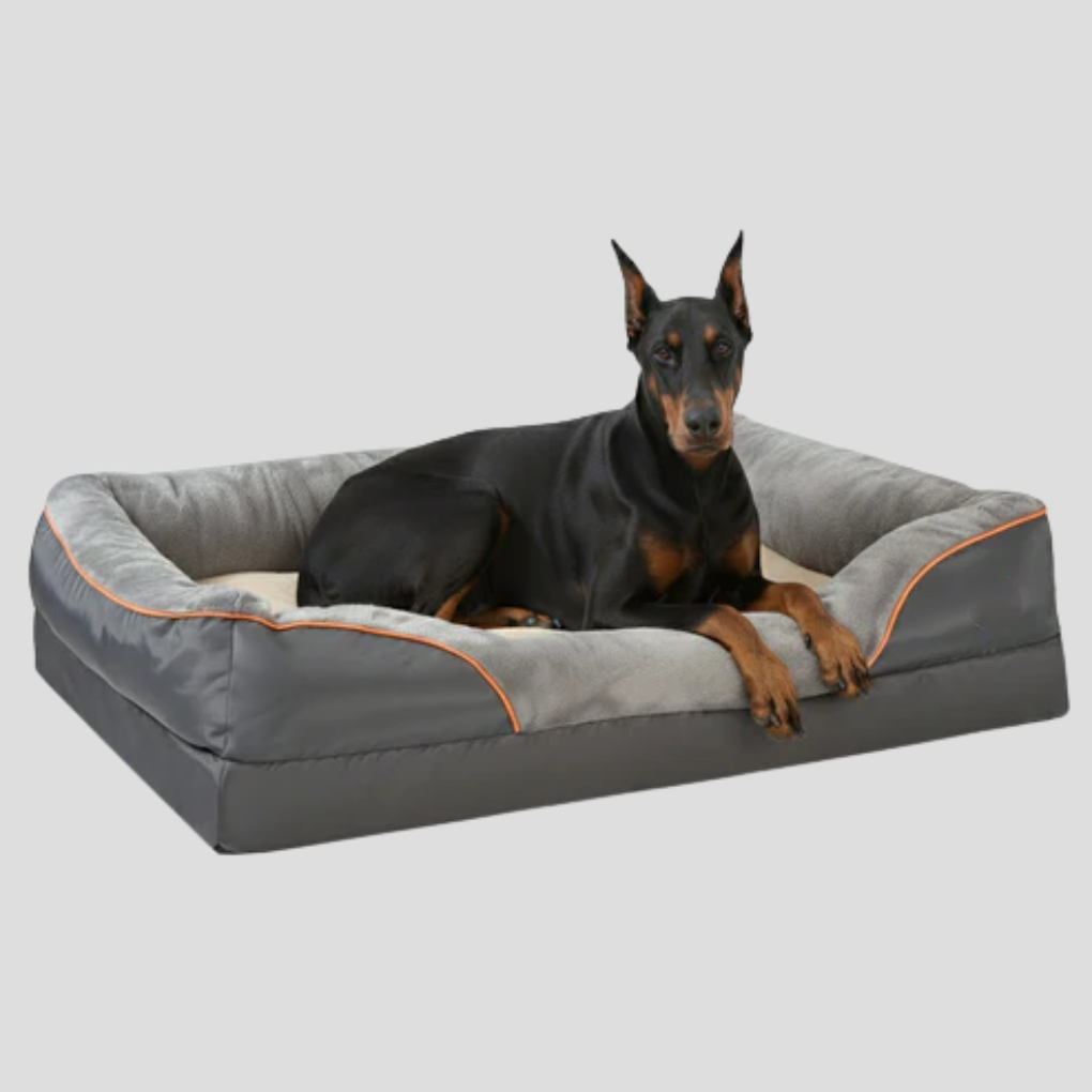 Luxury extra-large memory foam dog bed, providing orthopedic comfort & ultimate support for big canines.