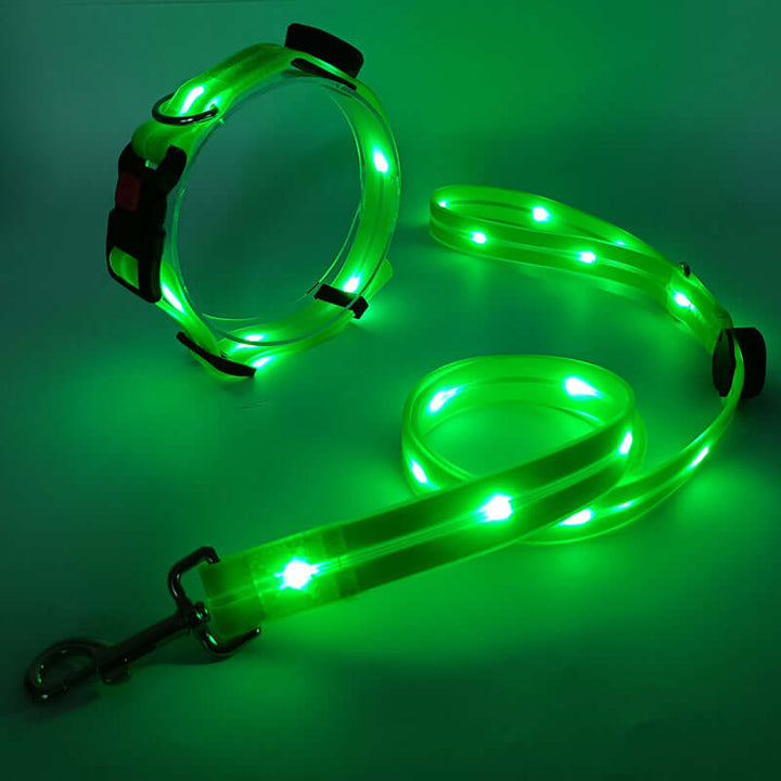 LED Hundehalsband mit Leine - Sicher & Sichtbar