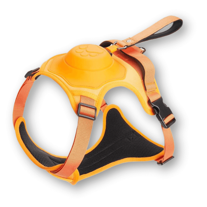 Hundegeschirr mit Leine - FlexiLead