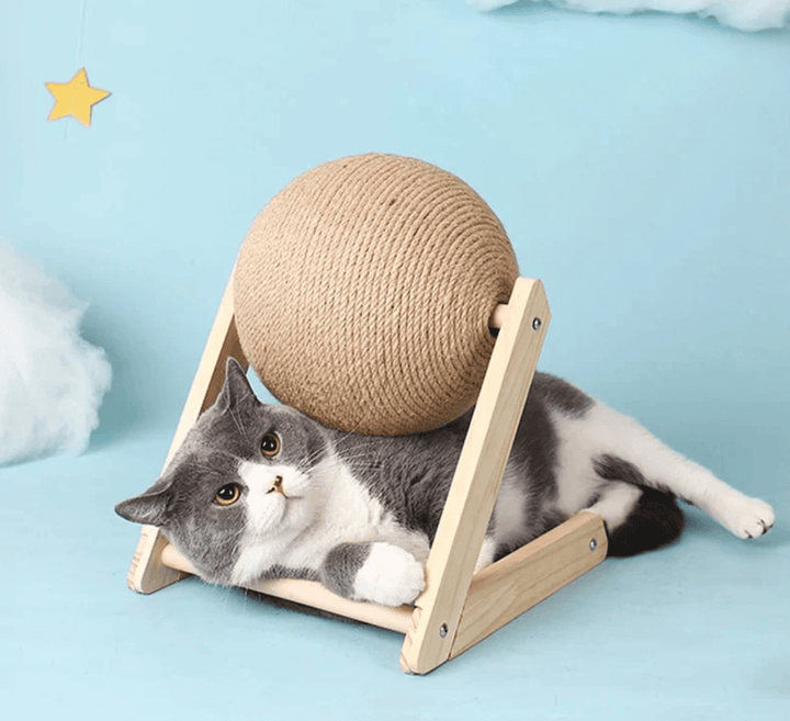 Katzenspielzeug Kratzbaum - Spielspaß & Krallenpflege