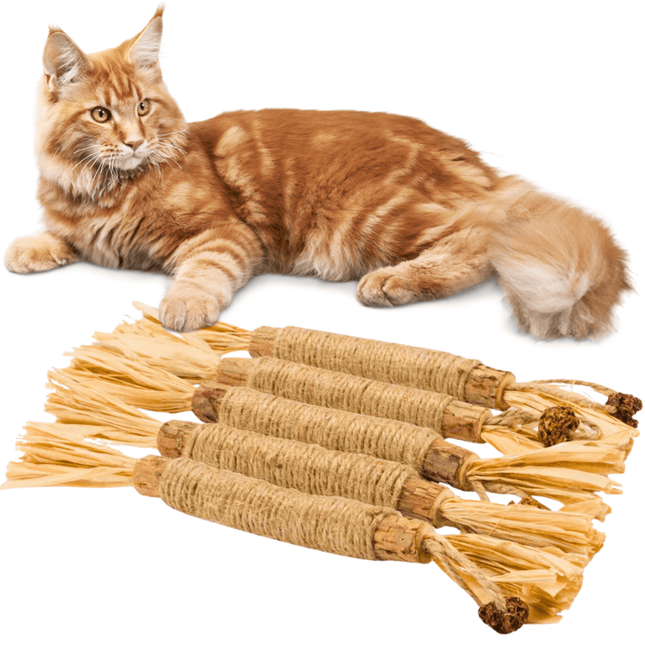 Katzen Kaustangen - 5er Set - Natürliches Silvervine