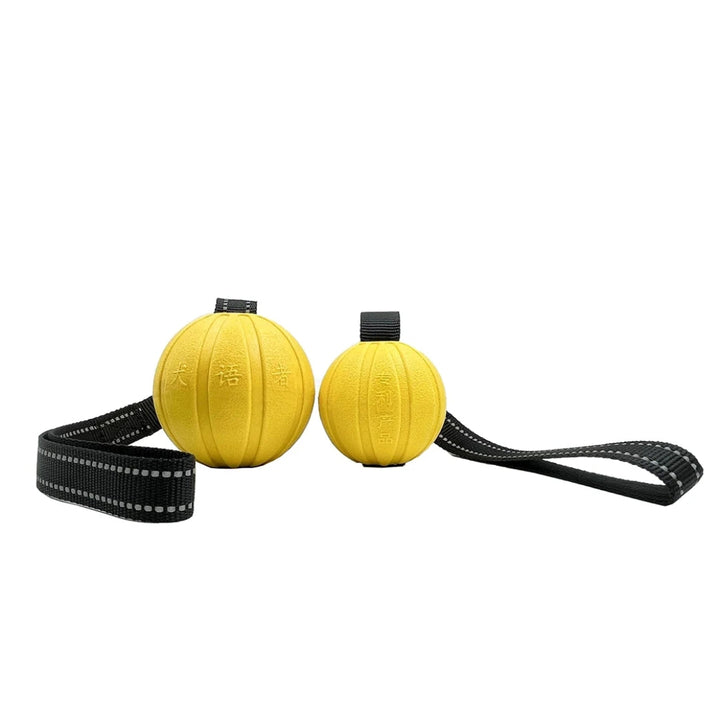 High-visibility foam dog fetch toy ball with robust rope for aquatic adventures