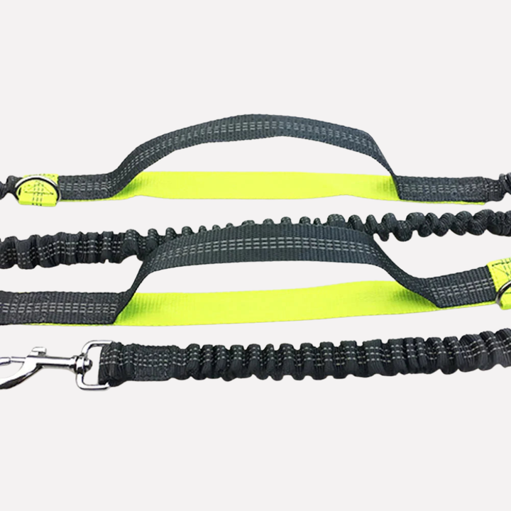 Adjustable hands-free bungee dog leash in light blue, ideal for running and walking your pet