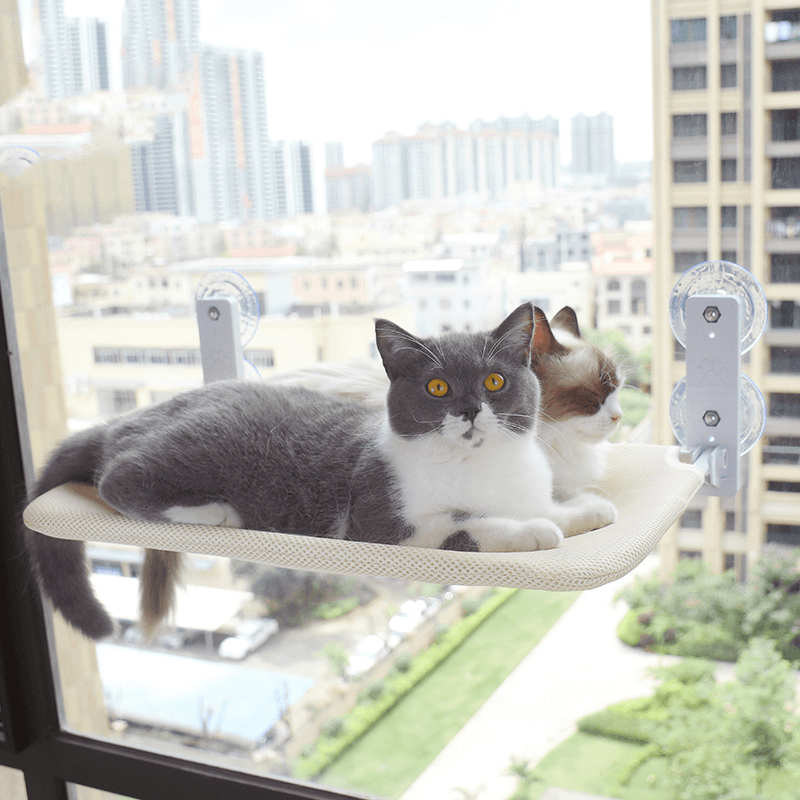 Foldable cat window hammock with strong suction cups, space-saving design for comfortable lounging