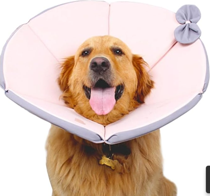 Gelb-brauner Schutzkragen für Hunde, weich gepolstert, schmeichelt Hals und schützt nach OP, stilvoll und komfortabel.