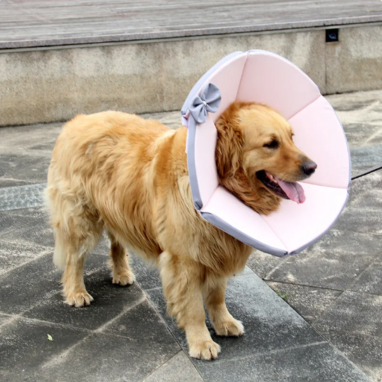 Gelb-brauner Schutzkragen für Hunde, weich gepolstert, schmeichelt Hals und schützt nach OP, stilvoll und komfortabel.