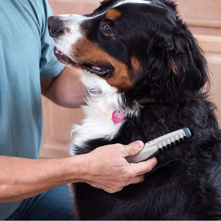 Tangle-free pet grooming brush for cats & dogs. Gently detangles fur, ideal for daily pet care & shedding.