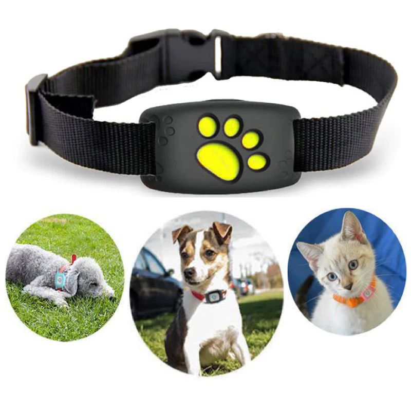 "GPS Katzenhalsband mit Echtzeit-Tracking, wasserdicht IP67, verstellbar. Ideal für sichere Katzenortung."