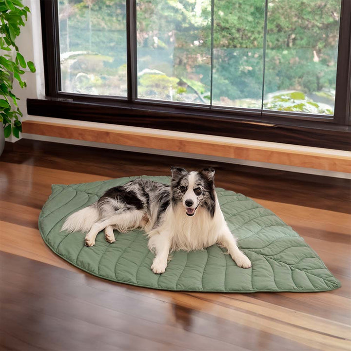 Large green leaf pet blanket, soft for pets and protective for furniture. Home decor.
