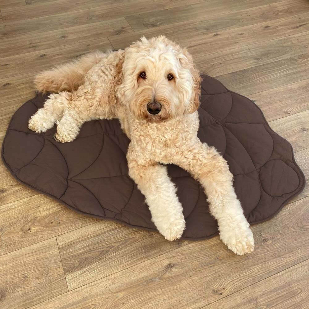 Machine washable leaf pet mat & blanket, excellent for dogs and cats. Home decor.