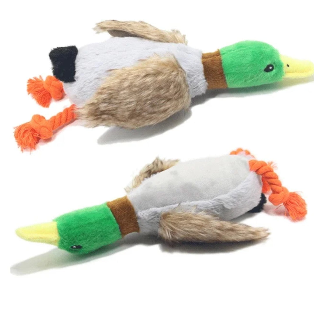 Green plush duck squeaky chew toy for dogs, durable fleece for dental cleaning & pet fun