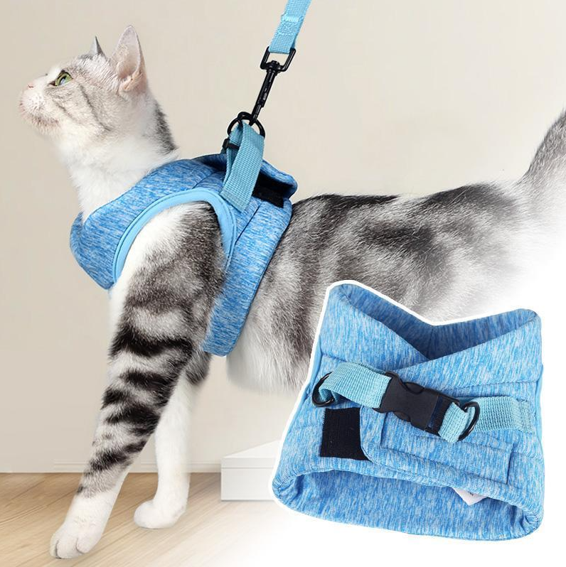Detail of the quick-release buckle on a green cat harness, designed for pet safety and easy use.