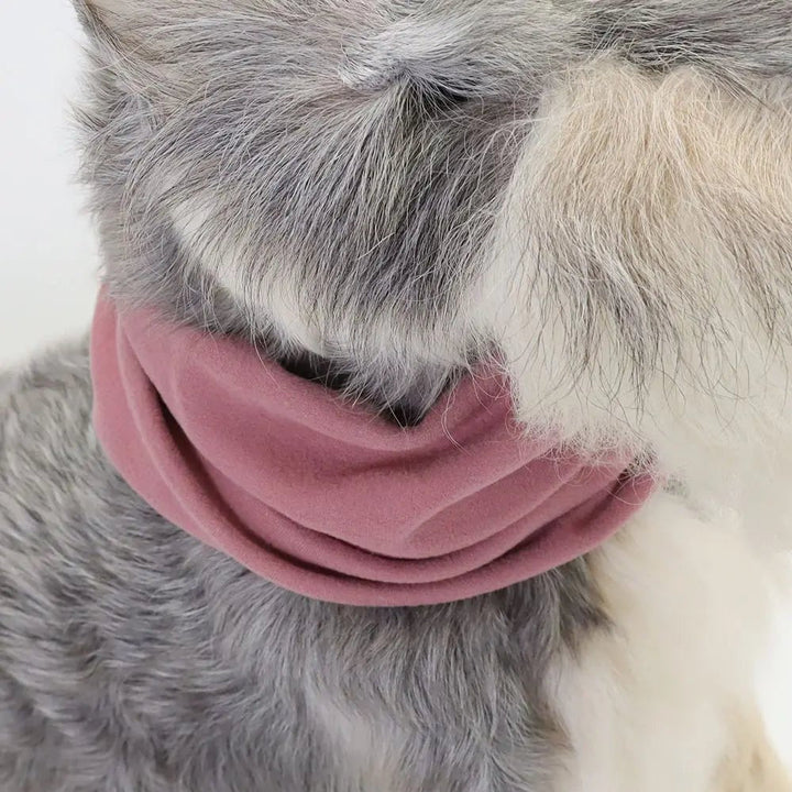 Warm pet snood, grey dog accessory offering ear protection and cozy comfort.