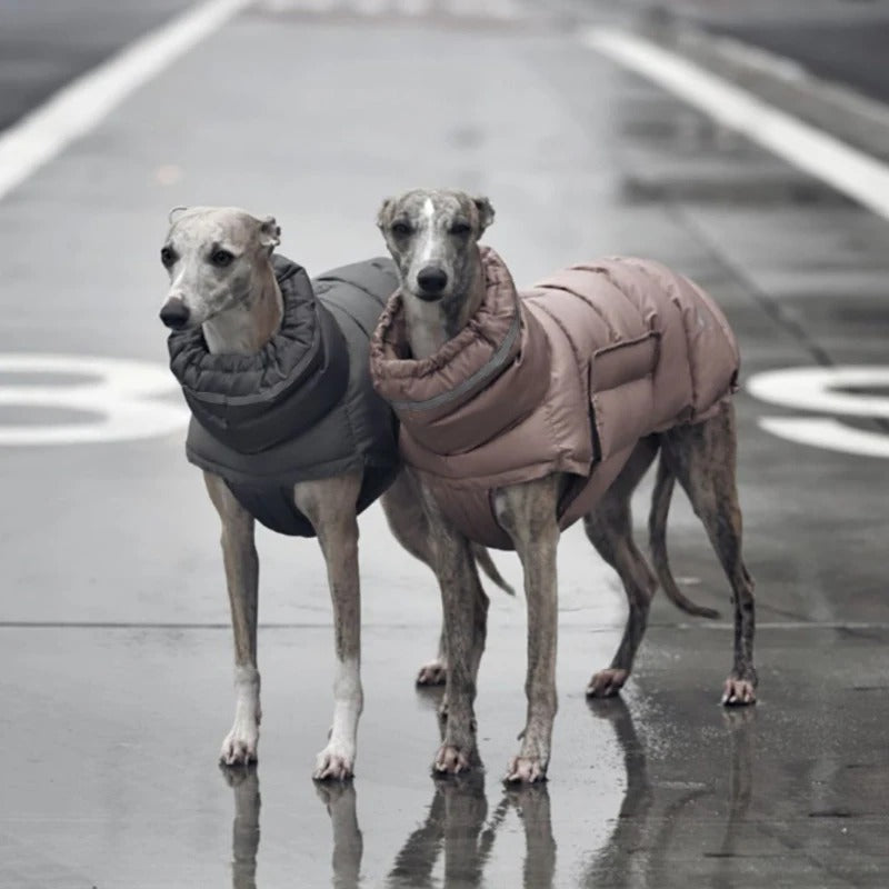 Pattern of a dog winter vest showing waterproof fabric, durable pet coat