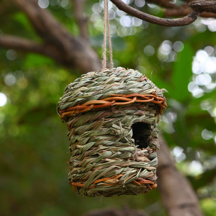 Small bird cage, decorative and hand-woven from natural straw, a charming green pet accessory