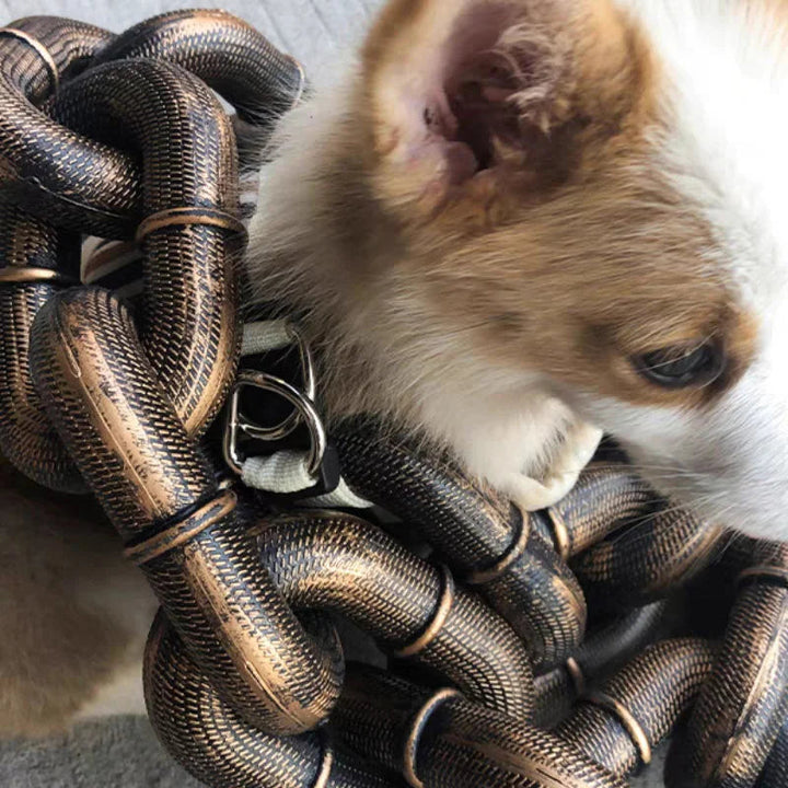 Close-up of secure plastic leash clip on heavy-duty dog leash, ideal for large breeds