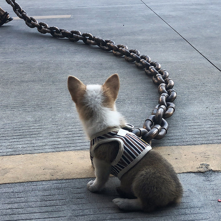 Large dog being walked confidently with a blue heavy-duty, tangle-free pet accessory leash