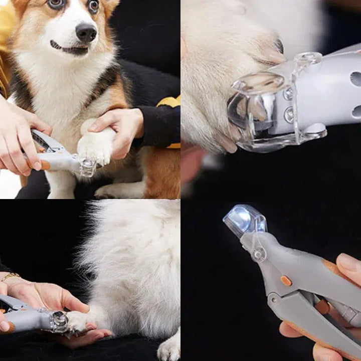 "Hund Nagelknipser mit Schnellsensor, ergonomisches Design, Edelstahl, sicher und schmerzfrei, für präzise Krallenpflege"