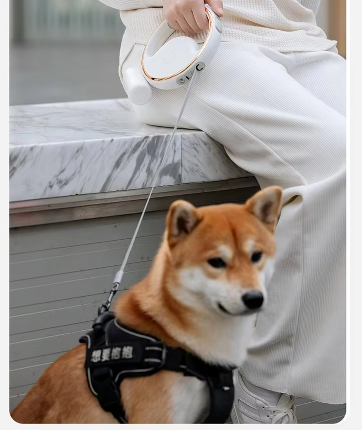 "Hundeleine mit LED-Licht, ausziehbar, ergonomischer Griff, reflektierend, für sicheres Nachtspazieren mit Hund"