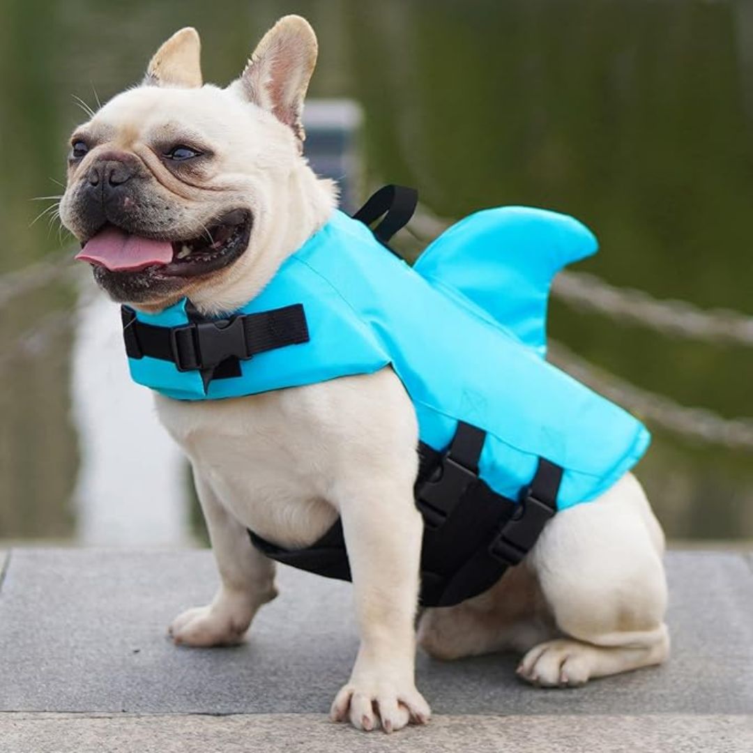 "Hundeschwimmweste mit Hai-Flosse, blauer Stoff, verstellbare Gurte, für Sicherheit im Wasser, für Hunde aller Größen."