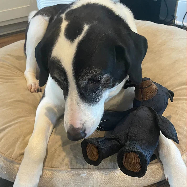 Durable dog chew toy, bear-shaped, ideal for aggressive chewers & dental care.