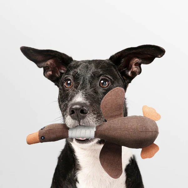 Indestructible dog toy with textured surface, promotes aggressive chewer dental health