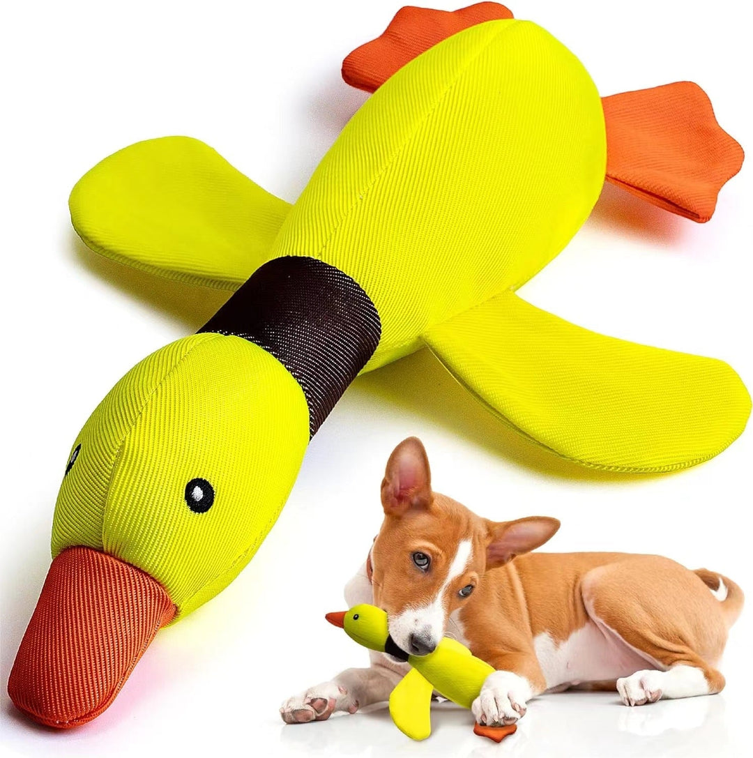 Variety of colorful durable dog toys, chew toys for aggressive chewers