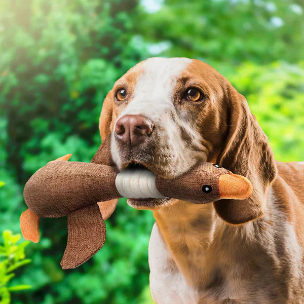 Organic goose dog toy designed for heavy chewers, ensuring hours of play.