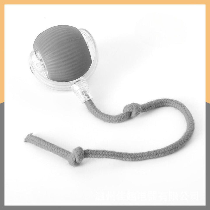 Electronic pet accessory: automatic cat play ball with feather for mental and physical enrichment