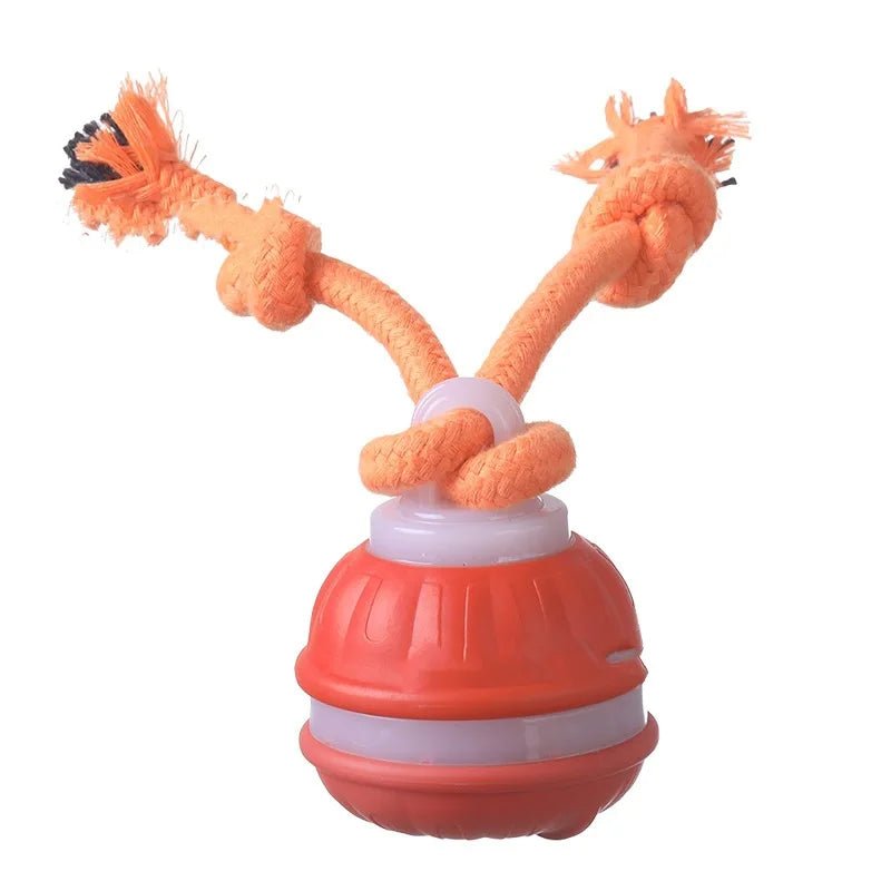 Interactive automatic motion sensor dog toy ball for small dogs, rechargeable for indoor play.