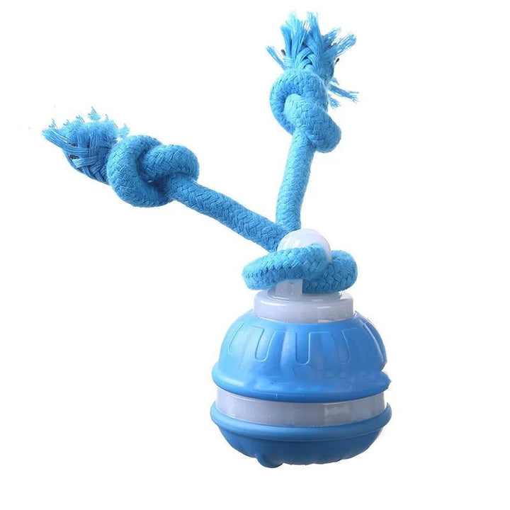 Small dog interactive toy ball, automatic motion sensor keeps pets entertained during indoor play.