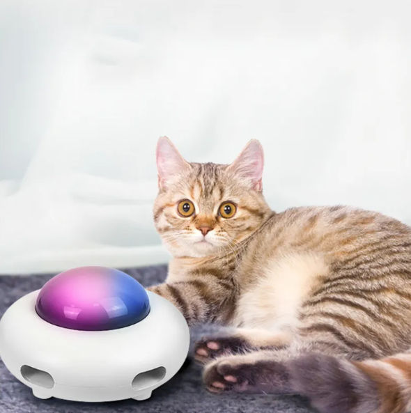 Engaging LED cat toy with feather attachment, promoting active play and stress relief