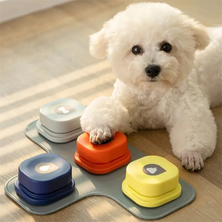 Close-up of a dog paw pressing an interactive communication button, pet communication device